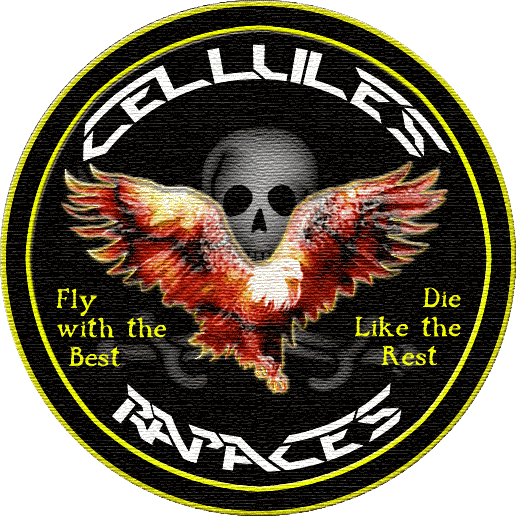 Rapace_patch_2004